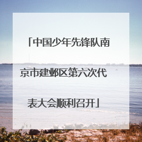 中国少年先锋队南京市建邺区第六次代表大会顺利召开