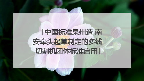 中国标准泉州造 南安牵头起草制定的多线切割机团体标准启用