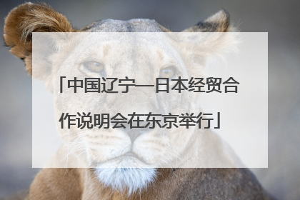中国辽宁—日本经贸合作说明会在东京举行