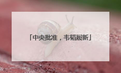 中央批准，韦韬履新