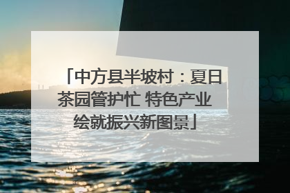 中方县半坡村：夏日茶园管护忙 特色产业绘就振兴新图景