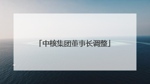 中核集团董事长调整
