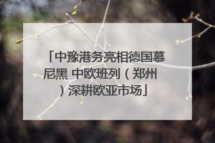 中豫港务亮相德国慕尼黑 中欧班列（郑州）深耕欧亚市场