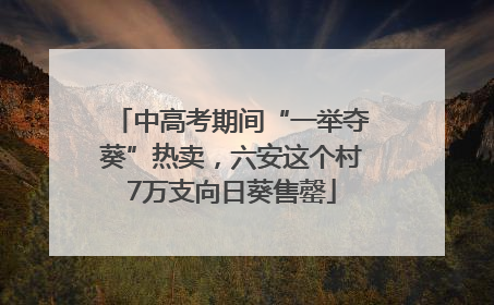 中高考期间“一举夺葵”热卖，六安这个村7万支向日葵售罄