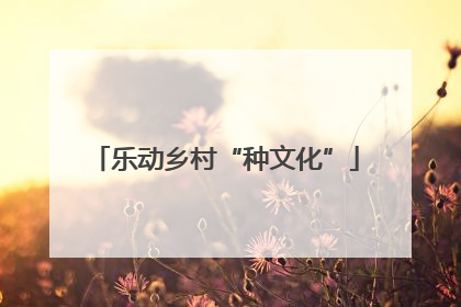乐动乡村“种文化”