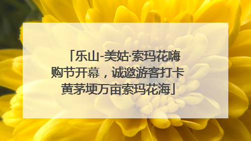 乐山-美姑·索玛花嗨购节开幕，诚邀游客打卡黄茅埂万亩索玛花海