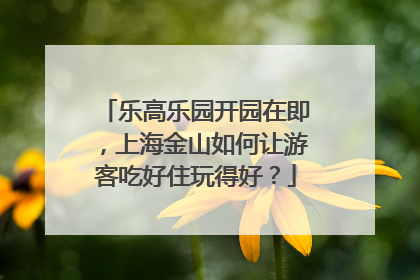 乐高乐园开园在即，上海金山如何让游客吃好住玩得好？