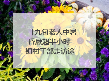 九旬老人中暑昏厥超半小时 镇村干部走访途中发现及时施救｜看见正能量