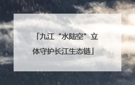 九江“水陆空”立体守护长江生态链