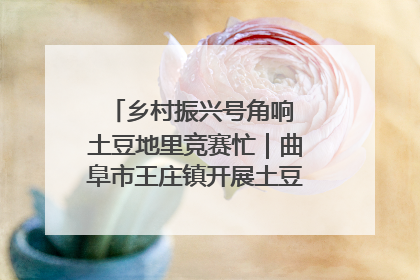 乡村振兴号角响 土豆地里竞赛忙｜曲阜市王庄镇开展土豆收获劳动竞赛