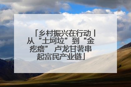 乡村振兴在行动丨从“土坷垃”到“金疙瘩” 卢龙甘薯串起富民产业链