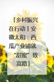 乡村振兴在行动丨安徽太和：西瓜产业铺就“甜蜜”致富路