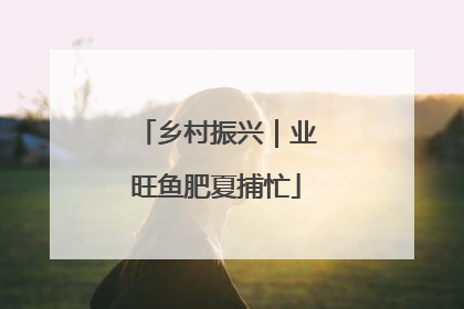 乡村振兴｜业旺鱼肥夏捕忙