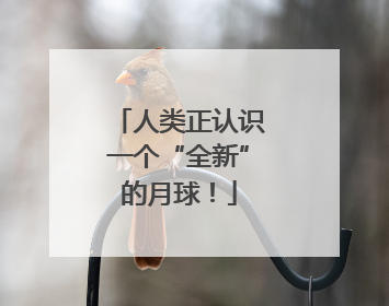 人类正认识一个“全新”的月球！