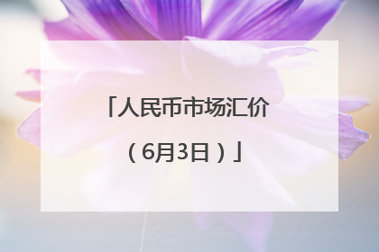 人民币市场汇价（6月3日）
