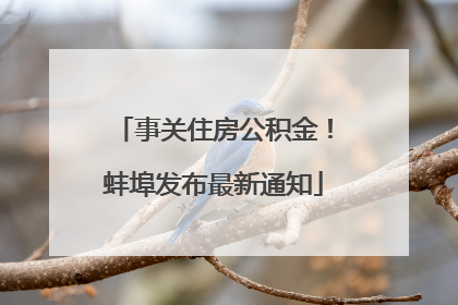 事关住房公积金！蚌埠发布最新通知