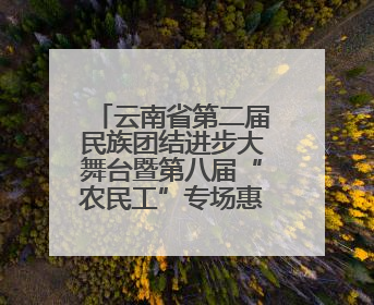 云南省第二届民族团结进步大舞台暨第八届“农民工”专场惠民演出启幕