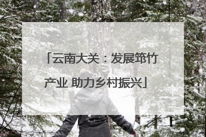 云南大关：发展筇竹产业 助力乡村振兴