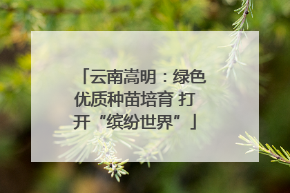云南嵩明：绿色优质种苗培育 打开“缤纷世界”