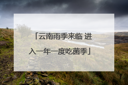 云南雨季来临 进入一年一度吃菌季