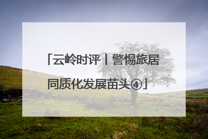 云岭时评丨警惕旅居同质化发展苗头④