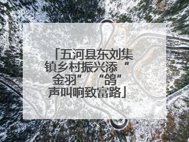 五河县东刘集镇乡村振兴添“金羽” “鸽”声叫响致富路