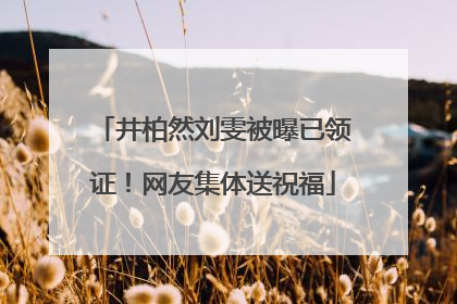 井柏然刘雯被曝已领证！网友集体送祝福