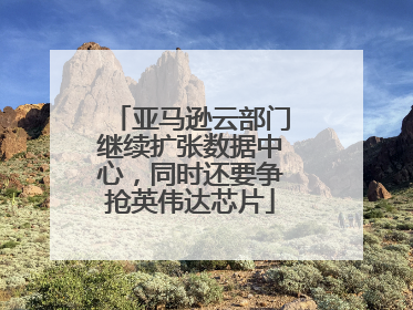 亚马逊云部门继续扩张数据中心，同时还要争抢英伟达芯片