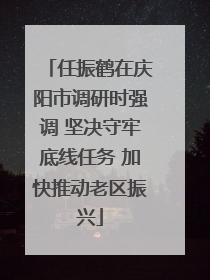 任振鹤在庆阳市调研时强调 坚决守牢底线任务 加快推动老区振兴