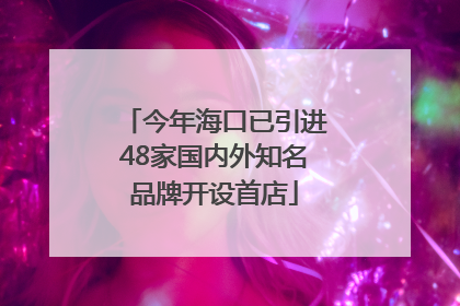 今年海口已引进48家国内外知名品牌开设首店