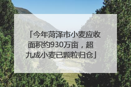 今年菏泽市小麦应收面积约930万亩，超九成小麦已颗粒归仓