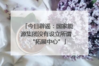 今日辟谣：国家能源集团没有设立所谓“拓展中心”