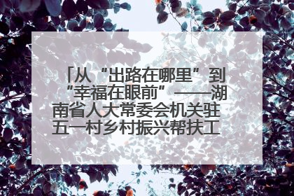 从“出路在哪里”到“幸福在眼前”——湖南省人大常委会机关驻五一村乡村振兴帮扶工作队书写振兴答卷