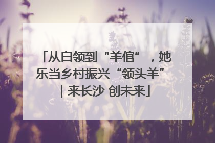 从白领到“羊倌”，她乐当乡村振兴“领头羊”｜来长沙 创未来