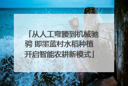从人工弯腰到机械驰骋 即墨蓝村水稻种植开启智能农耕新模式