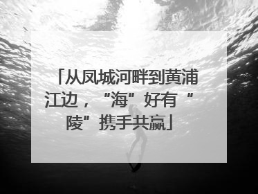 从凤城河畔到黄浦江边，“海”好有“陵”携手共赢