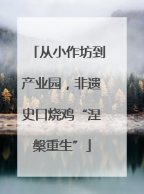 从小作坊到产业园，非遗史口烧鸡“涅槃重生”