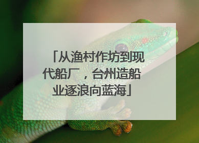 从渔村作坊到现代船厂，台州造船业逐浪向蓝海