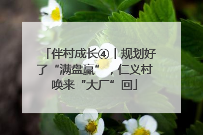 伴村成长④丨规划好了“满盘赢”，仁义村唤来“大厂”回