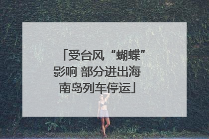 受台风“蝴蝶”影响 部分进出海南岛列车停运