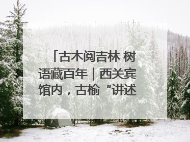 古木阅吉林 树语藏百年｜西关宾馆内，古榆“讲述”时光絮语
