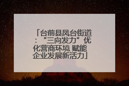 台前县凤台街道：“三向发力”优化营商环境 赋能企业发展新活力