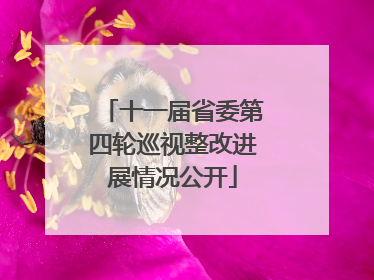 十一届省委第四轮巡视整改进展情况公开