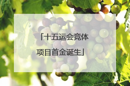 十五运会竞体项目首金诞生