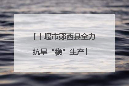 十堰市郧西县全力抗旱“稳”生产