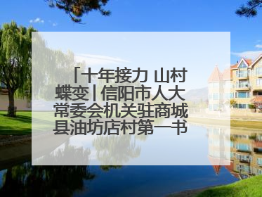 十年接力 山村蝶变│信阳市人大常委会机关驻商城县油坊店村第一书记工作纪实