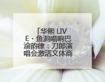 华熙 LIVE・鱼洞唱响巴渝韵律：刀郎演唱会激活文体商融合新生态