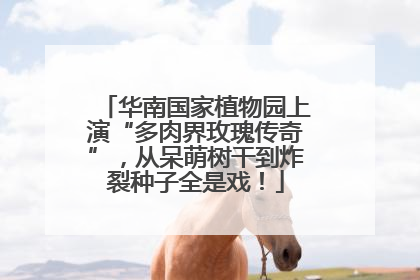 华南国家植物园上演“多肉界玫瑰传奇”，从呆萌树干到炸裂种子全是戏！
