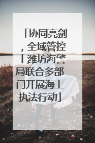 协同亮剑，全域管控丨潍坊海警局联合多部门开展海上执法行动