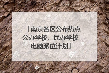 南京各区公布热点公办学校、民办学校电脑派位计划